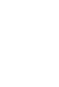 pps logo inverse